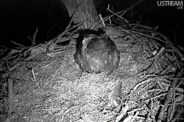 ScreenHunter_01 Mar. 31 06.35.jpg